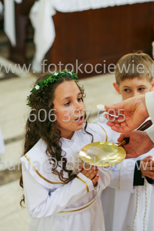 <b>NUMER FOTOGRAFII:<br> 0493_SFK_9267</b>
