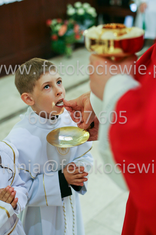 <b>NUMER FOTOGRAFII:<br> 0496_SFK_9270</b>