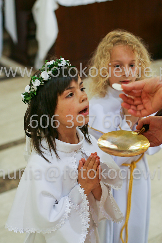 <b>NUMER FOTOGRAFII:<br> 0497_SFK_9271</b>