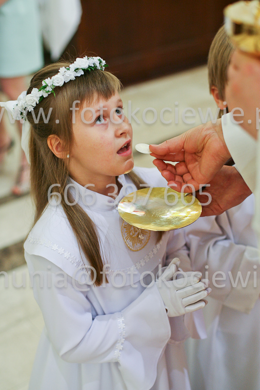 <b>NUMER FOTOGRAFII:<br> 0501_SFK_9277</b>
