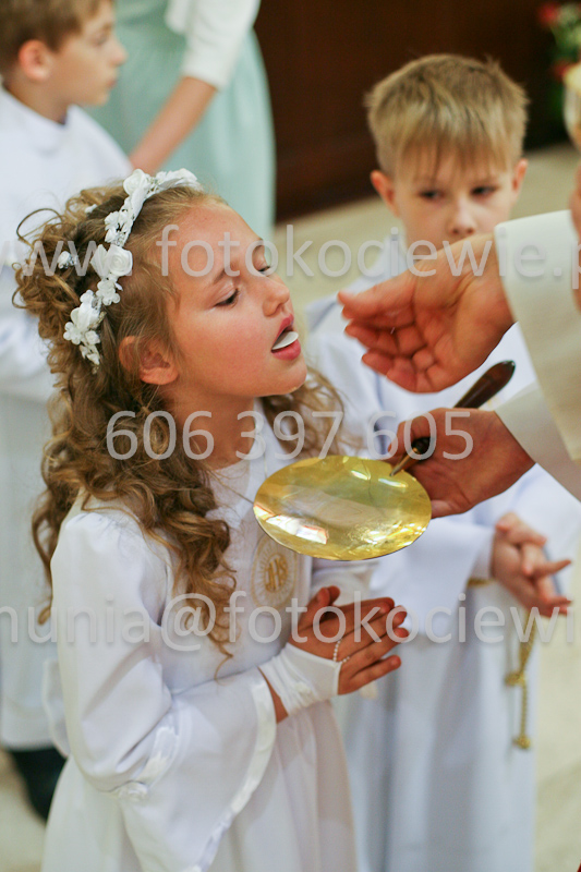 <b>NUMER FOTOGRAFII:<br> 0505_SFK_9282</b>