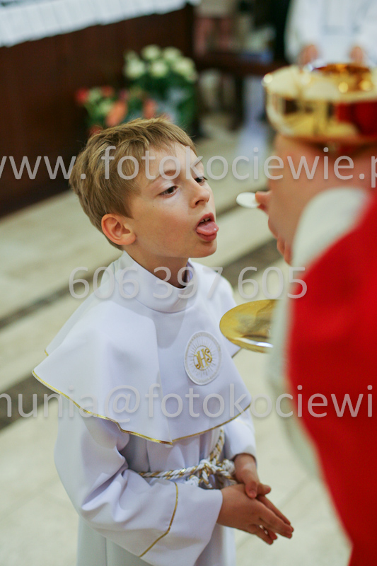 <b>NUMER FOTOGRAFII:<br> 0511_SFK_9288</b>