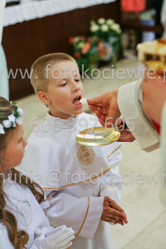 <b>NUMER FOTOGRAFII:<br> 0517_SFK_9294</b>