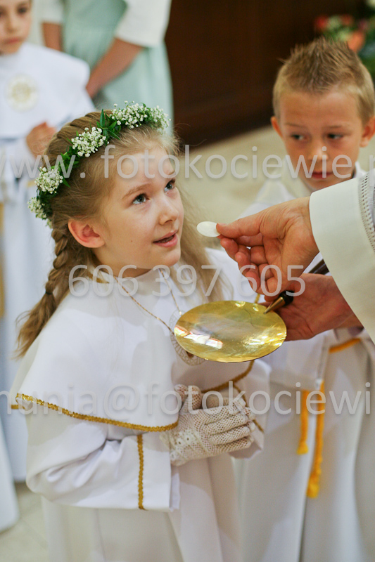 <b>NUMER FOTOGRAFII:<br> 0519_SFK_9296</b>