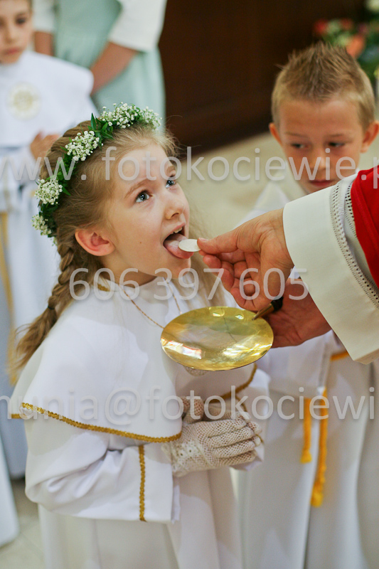 <b>NUMER FOTOGRAFII:<br> 0520_SFK_9297</b>