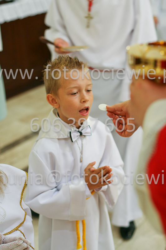<b>NUMER FOTOGRAFII:<br> 0522_SFK_9299</b>