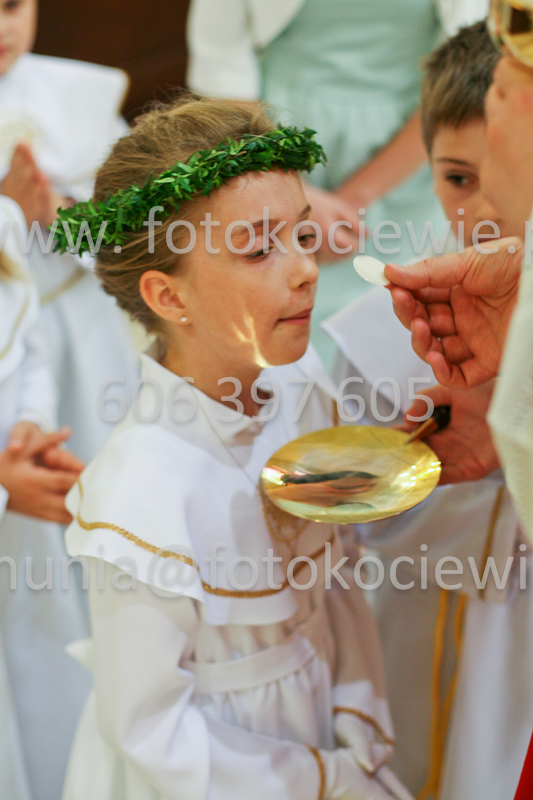<b>NUMER FOTOGRAFII:<br> 0524_SFK_9301</b>