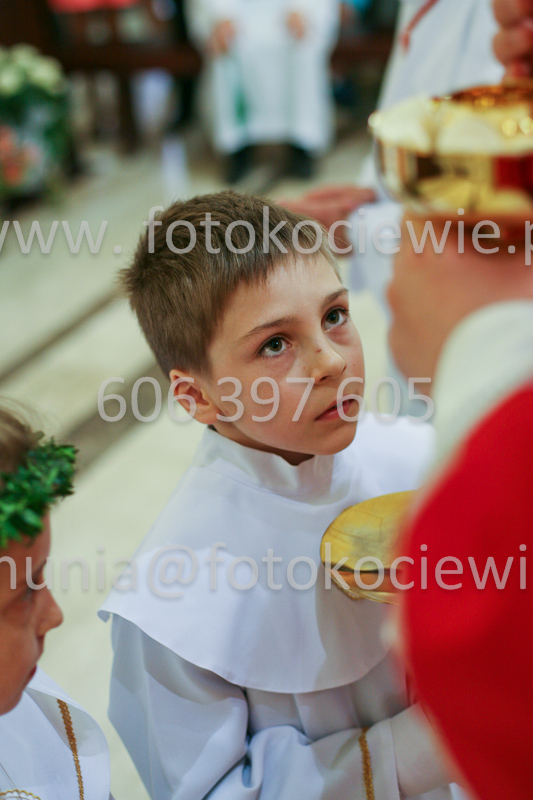 <b>NUMER FOTOGRAFII:<br> 0526_SFK_9303</b>