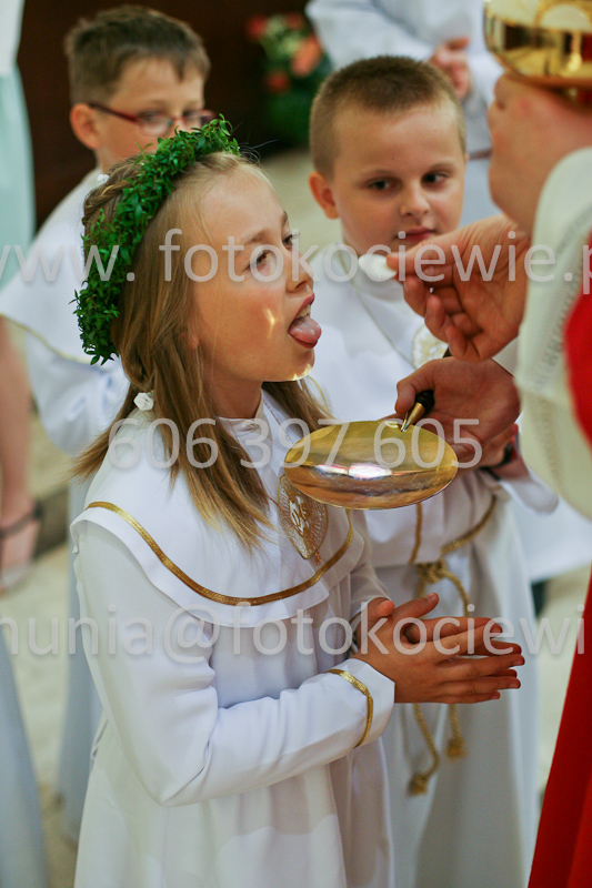 <b>NUMER FOTOGRAFII:<br> 0528_SFK_9305</b>