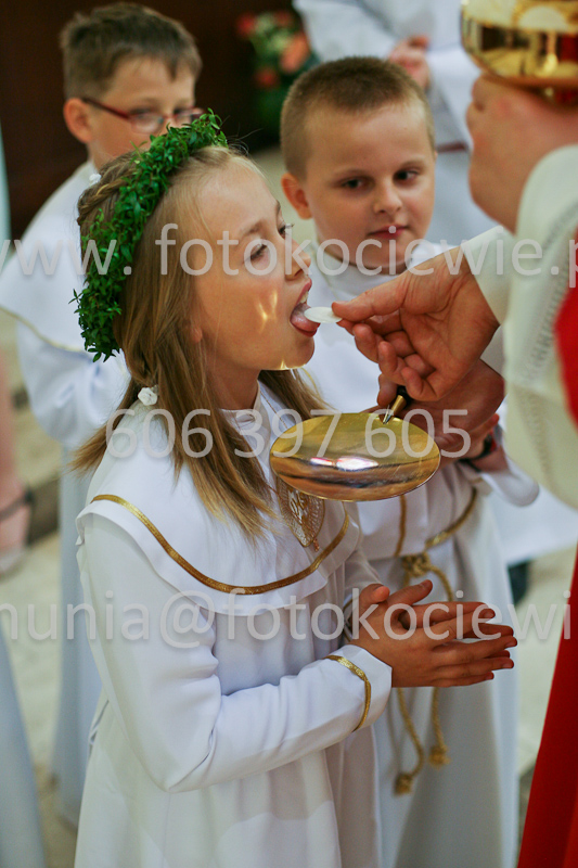 <b>NUMER FOTOGRAFII:<br> 0529_SFK_9306</b>