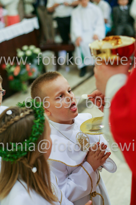 <b>NUMER FOTOGRAFII:<br> 0530_SFK_9307</b>