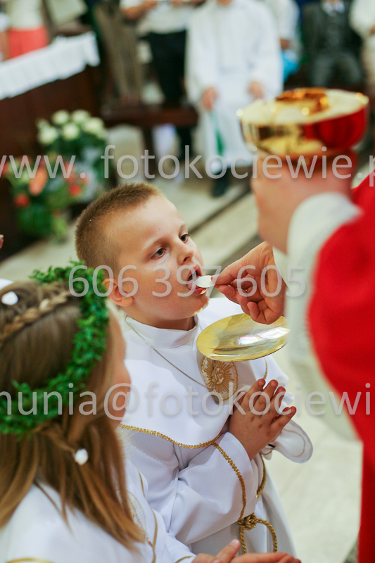 <b>NUMER FOTOGRAFII:<br> 0531_SFK_9308</b>