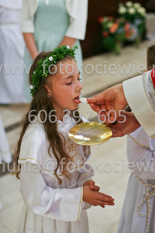 <b>NUMER FOTOGRAFII:<br> 0532_SFK_9309</b>