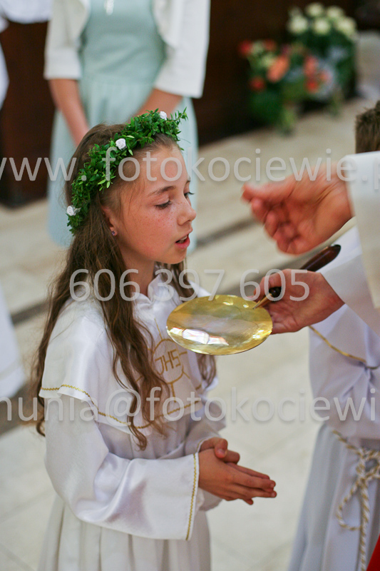 <b>NUMER FOTOGRAFII:<br> 0533_SFK_9310</b>
