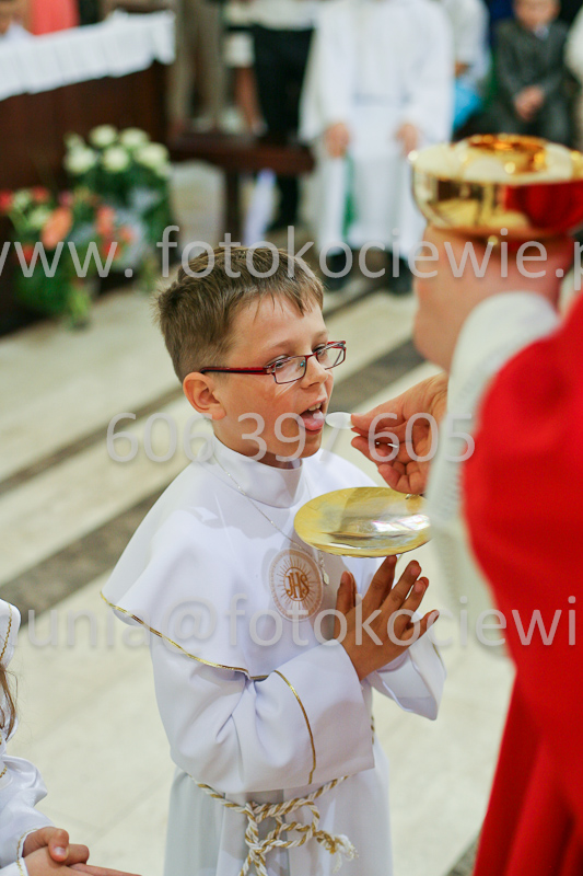 <b>NUMER FOTOGRAFII:<br> 0534_SFK_9311</b>