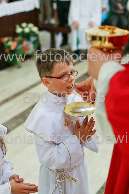 <b>NUMER FOTOGRAFII:<br> 0535_SFK_9312</b>