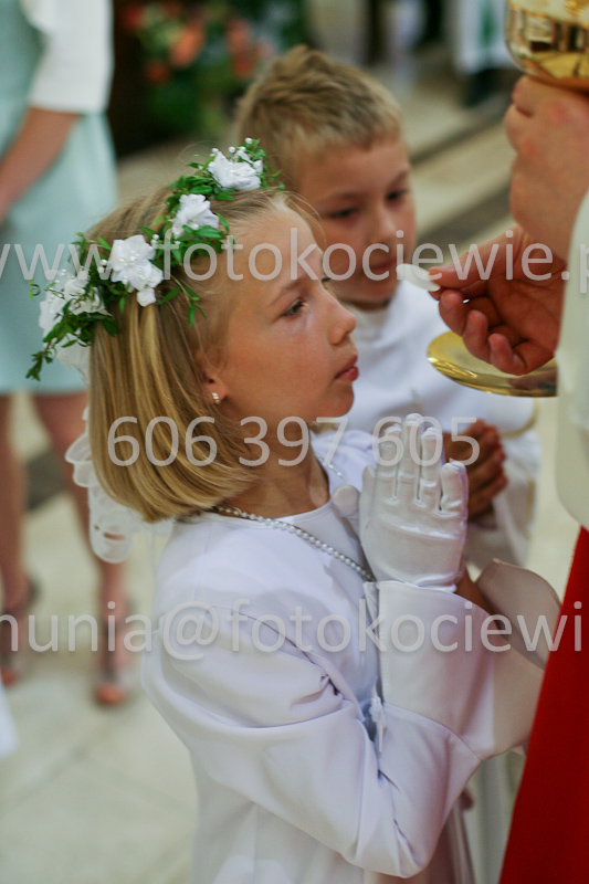<b>NUMER FOTOGRAFII:<br> 0536_SFK_9313</b>