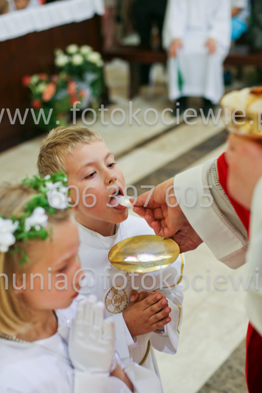 <b>NUMER FOTOGRAFII:<br> 0538_SFK_9316</b>