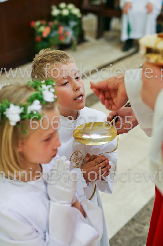 <b>NUMER FOTOGRAFII:<br> 0539_SFK_9317</b>