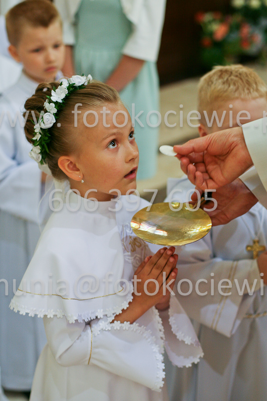 <b>NUMER FOTOGRAFII:<br> 0540_SFK_9318</b>