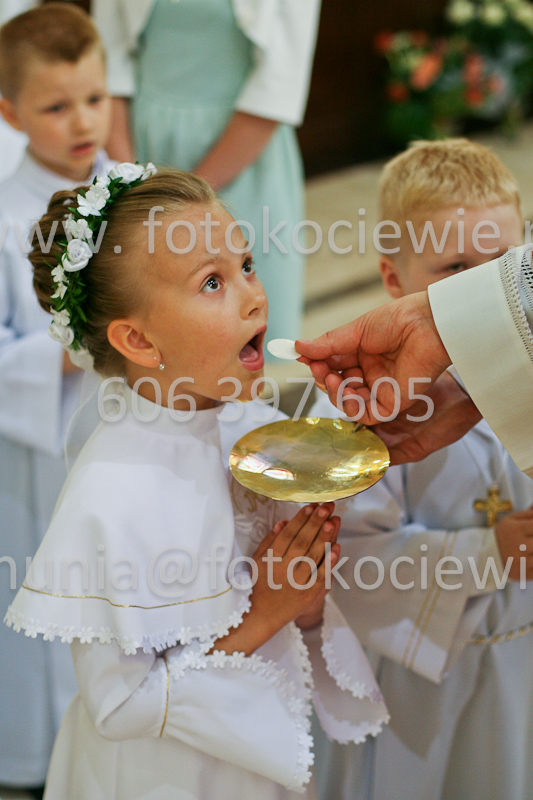 <b>NUMER FOTOGRAFII:<br> 0541_SFK_9319</b>
