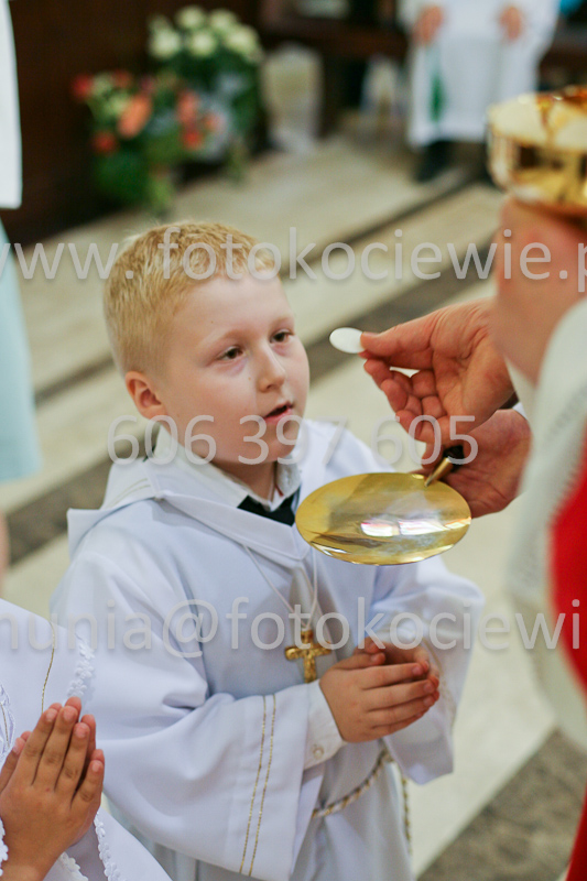 <b>NUMER FOTOGRAFII:<br> 0542_SFK_9320</b>