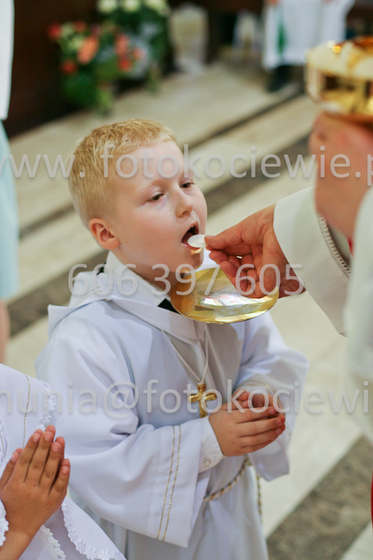 <b>NUMER FOTOGRAFII:<br> 0543_SFK_9321</b>