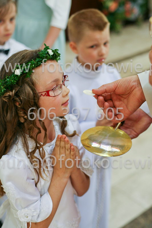 <b>NUMER FOTOGRAFII:<br> 0545_SFK_9323</b>