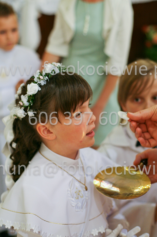 <b>NUMER FOTOGRAFII:<br> 0551_SFK_9329</b>