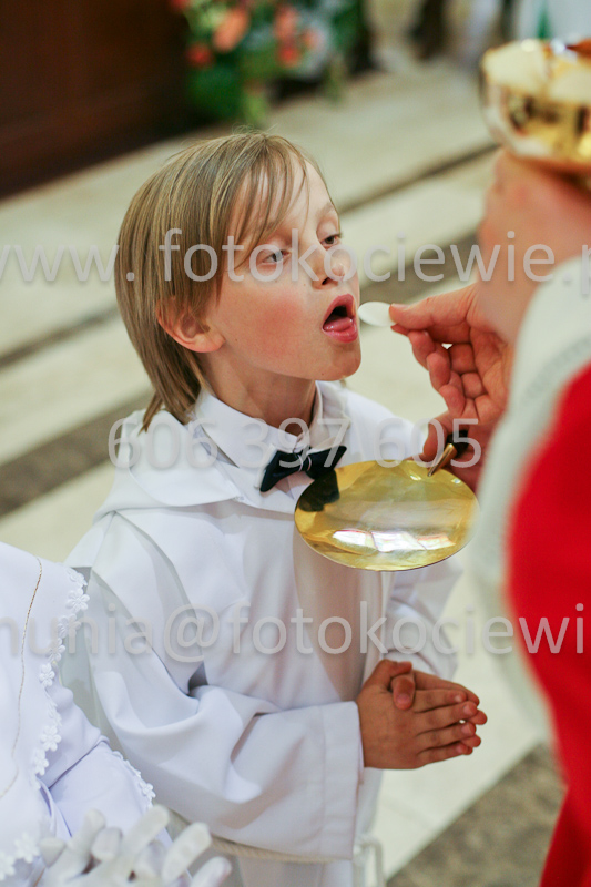 <b>NUMER FOTOGRAFII:<br> 0553_SFK_9331</b>
