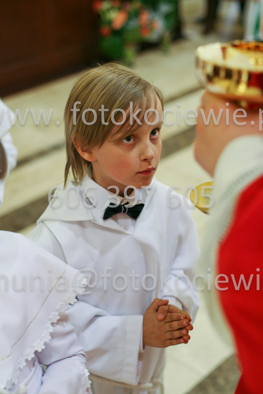 <b>NUMER FOTOGRAFII:<br> 0555_SFK_9333</b>