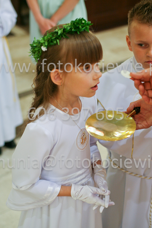 <b>NUMER FOTOGRAFII:<br> 0556_SFK_9334</b>