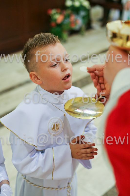 <b>NUMER FOTOGRAFII:<br> 0558_SFK_9336</b>