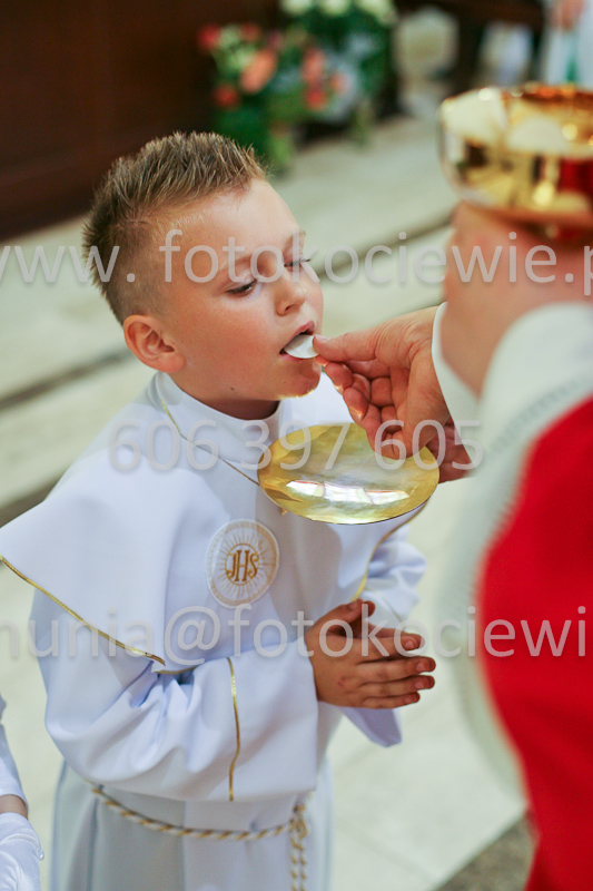 <b>NUMER FOTOGRAFII:<br> 0559_SFK_9337</b>