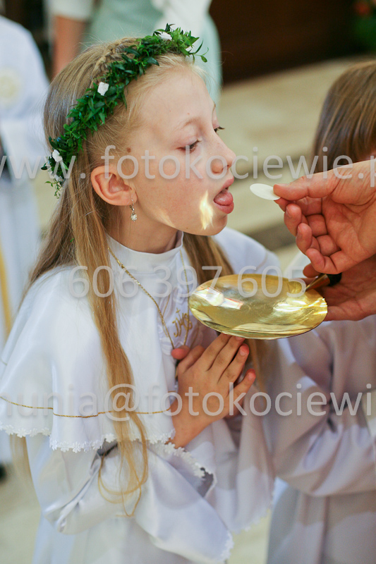 <b>NUMER FOTOGRAFII:<br> 0561_SFK_9340</b>