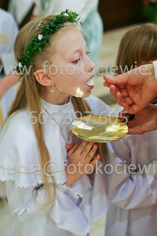 <b>NUMER FOTOGRAFII:<br> 0562_SFK_9341</b>