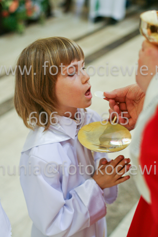<b>NUMER FOTOGRAFII:<br> 0563_SFK_9342</b>