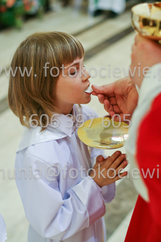 <b>NUMER FOTOGRAFII:<br> 0564_SFK_9343</b>