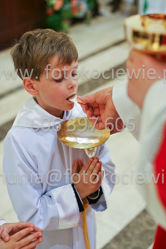 <b>NUMER FOTOGRAFII:<br> 0568_SFK_9347</b>