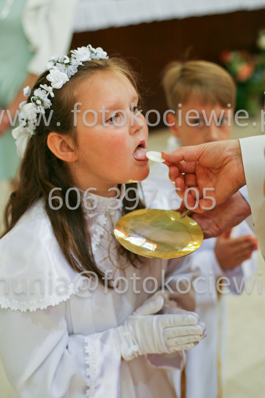 <b>NUMER FOTOGRAFII:<br> 0570_SFK_9349</b>