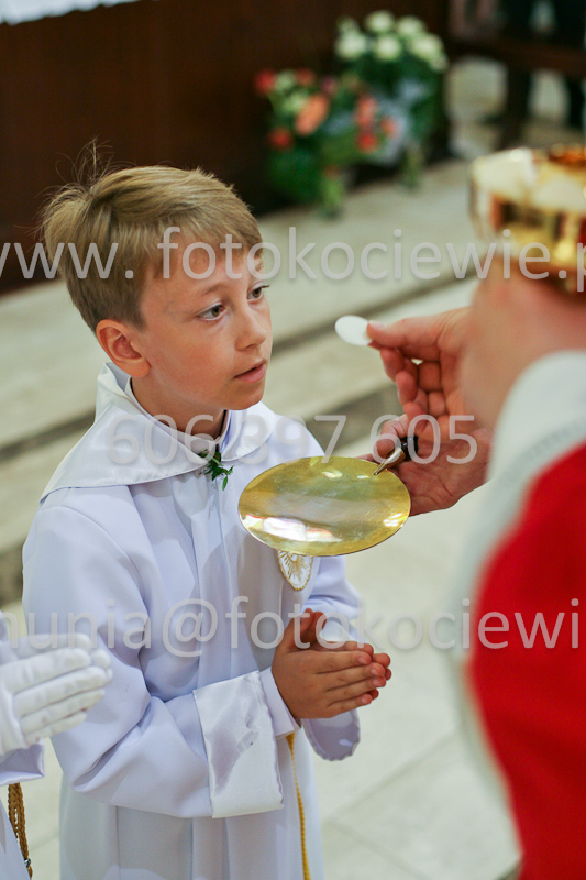 <b>NUMER FOTOGRAFII:<br> 0572_SFK_9351</b>