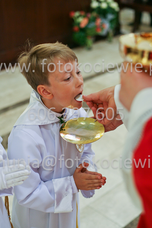 <b>NUMER FOTOGRAFII:<br> 0573_SFK_9352</b>