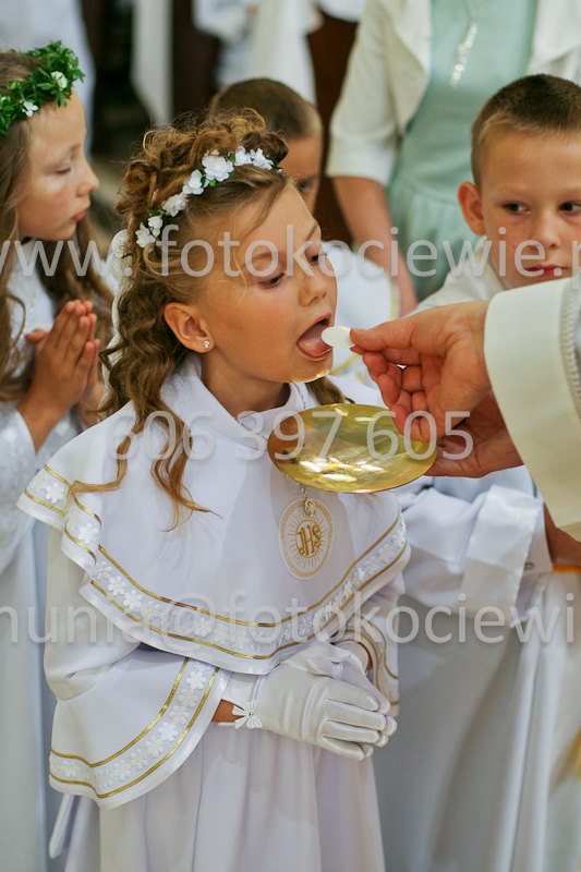 <b>NUMER FOTOGRAFII:<br> 0575_SFK_9354</b>