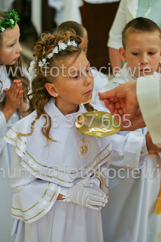 <b>NUMER FOTOGRAFII:<br> 0576_SFK_9355</b>