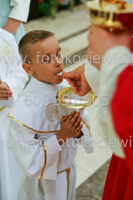 <b>NUMER FOTOGRAFII:<br> 0582_SFK_9361</b>