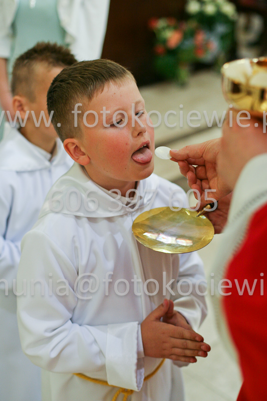 <b>NUMER FOTOGRAFII:<br> 0583_SFK_9362</b>