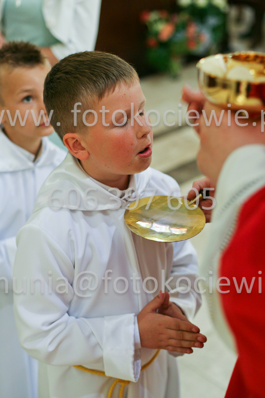 <b>NUMER FOTOGRAFII:<br> 0584_SFK_9363</b>