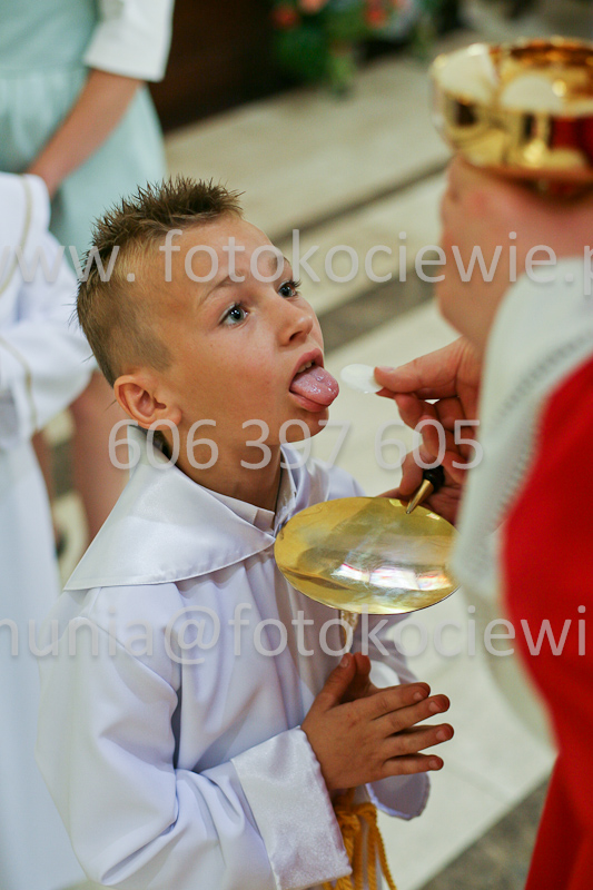 <b>NUMER FOTOGRAFII:<br> 0585_SFK_9364</b>