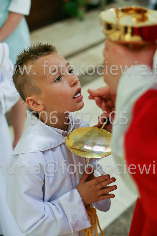 <b>NUMER FOTOGRAFII:<br> 0586_SFK_9365</b>