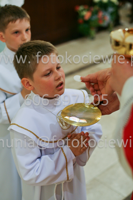 <b>NUMER FOTOGRAFII:<br> 0587_SFK_9366</b>